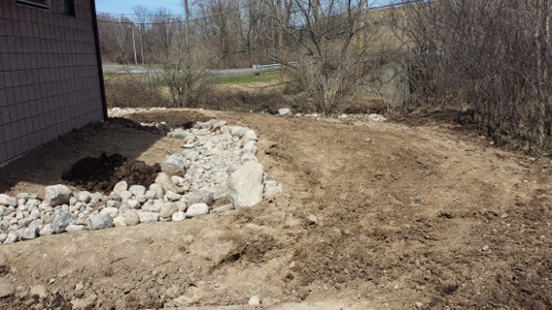 Winton Rain Garden 2014 (2)